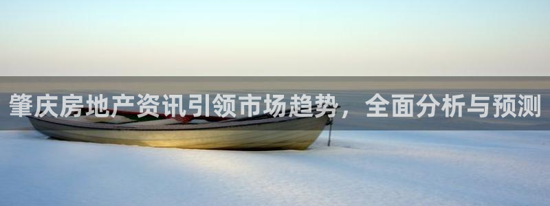 新5宝：肇庆房地产资讯引领市场趋势，全面分析与预测