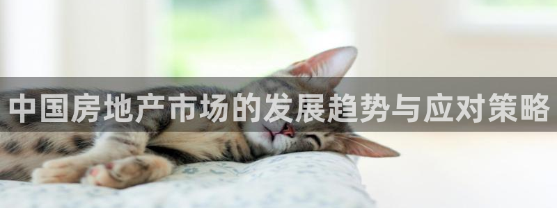 新宝5平台注册公司：中国房地产市场的发展趋势与应对策略