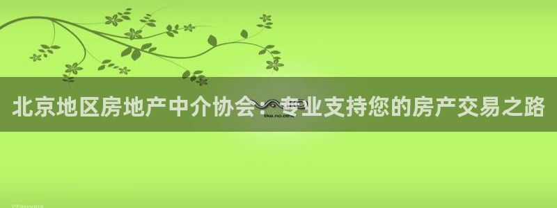新宝5d：北京地区房地产中介协会：专业支持您的房产交易之路