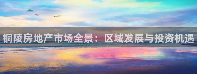 新宝5登录网址：铜陵房地产市场全景：区域发展与投资机遇