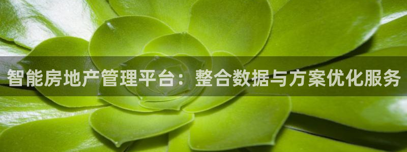 新宝5娱乐注册：智能房地产管理平台：整合数据与方案优化服务