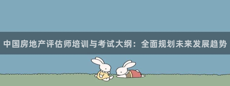 新宝5飞355051：中国房地产评估师培训与考试大纲：全面规