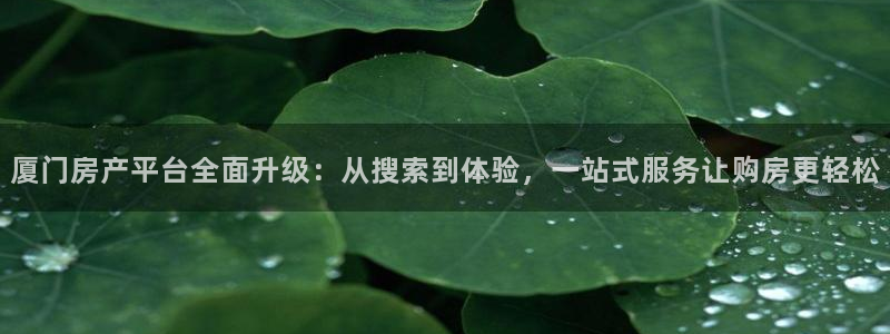 新宝5登录：厦门房产平台全面升级：从搜索到体验，一站式服务让