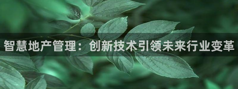 新宝5登录注册：智慧地产管理：创新技术引领未来行业变革