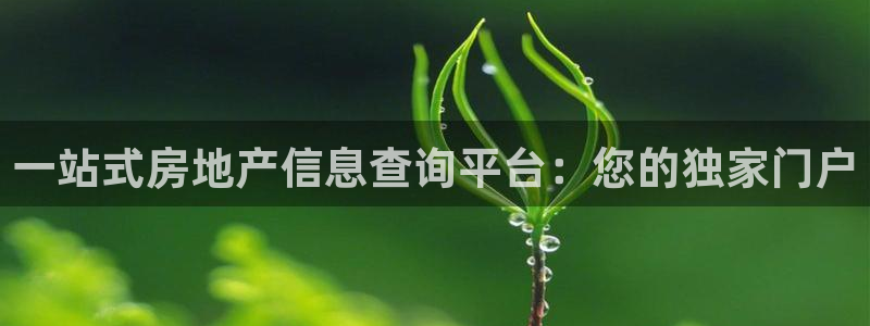 新宝5入口：一站式房地产信息查询平台：您的独家门户