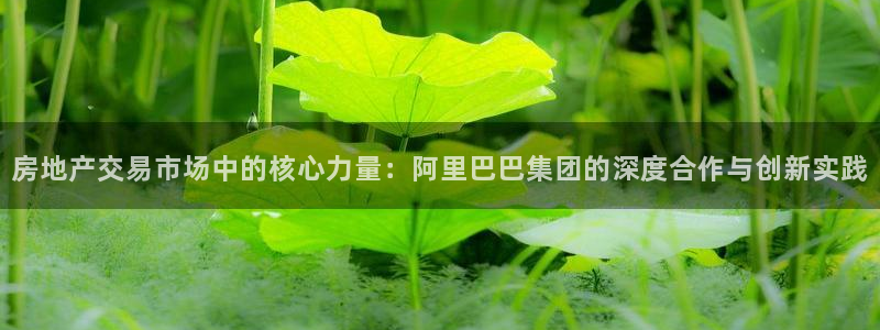 新宝5口67五壹叁八：房地产交易市场中的核心力量：阿里巴巴集