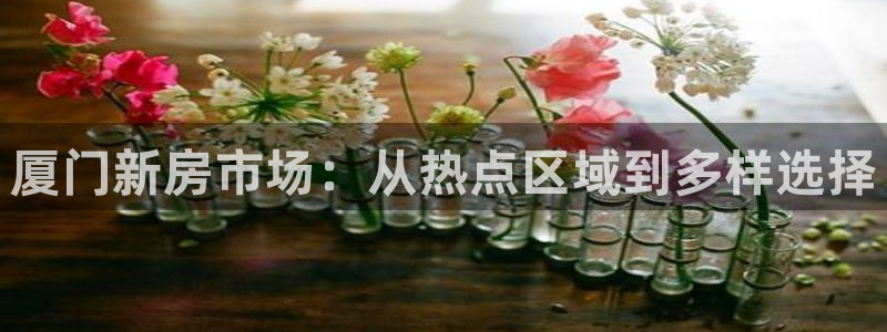 新宝5娱乐然：厦门新房市场：从热点区域到多样选择