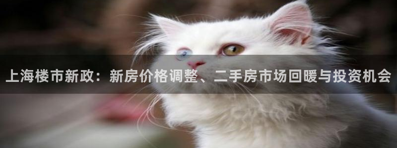 新宝xb5：上海楼市新政：新房价格调整、二手房市场回暖与投资