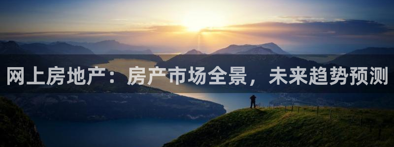 新宝5娱乐没：网上房地产：房产市场全景，未来趋势预测