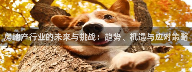 新宝5注册流程：房地产行业的未来与挑战：趋势、机遇与应对策略