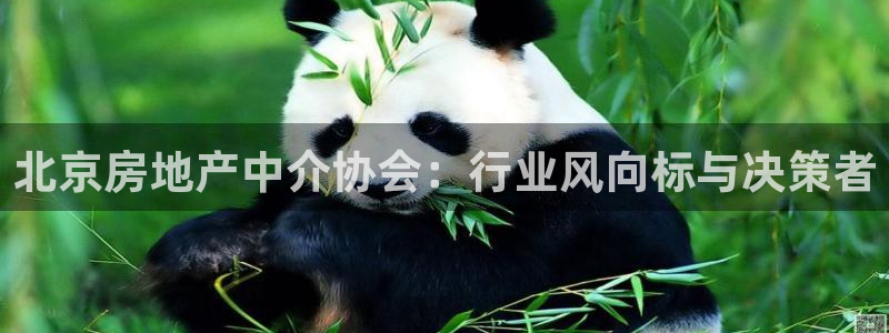 新宝5直属：北京房地产中介协会：行业风向标与决策者