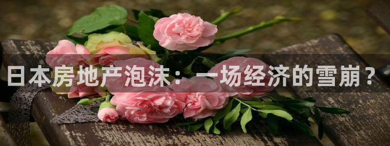 新宝股东王听2 5 5：日本房地产泡沫：一场经济的雪崩？