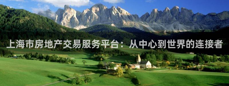 新宝5娱乐然：上海市房地产交易服务平台：从中心到世界的连接者