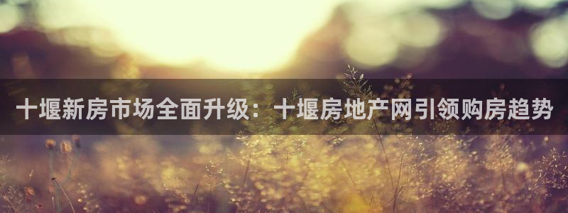 新宝5下载app：十堰新房市场全面升级：十堰房地产网引领购房