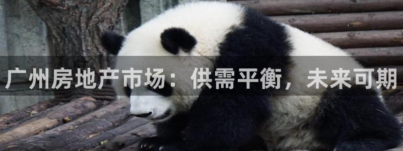 新宝5寻33 300球：广州房地产市场：供需平衡，未来可期