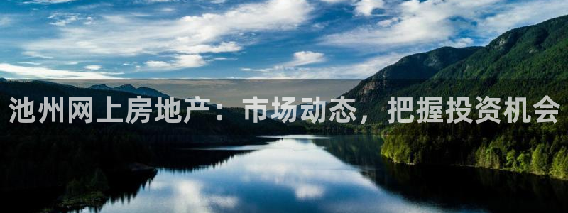 新宝5安卓版：池州网上房地产：市场动态，把握投资机会