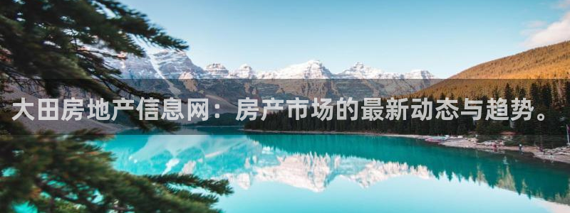新宝5策略：大田房地产信息网：房产市场的最新动态与趋势。