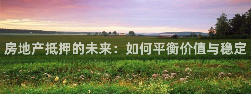 新宝5平台：房地产抵押的未来：如何平衡价值与稳定