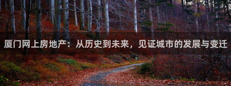 新宝5平台登录：厦门网上房地产：从历史到未来，见证城市的发展