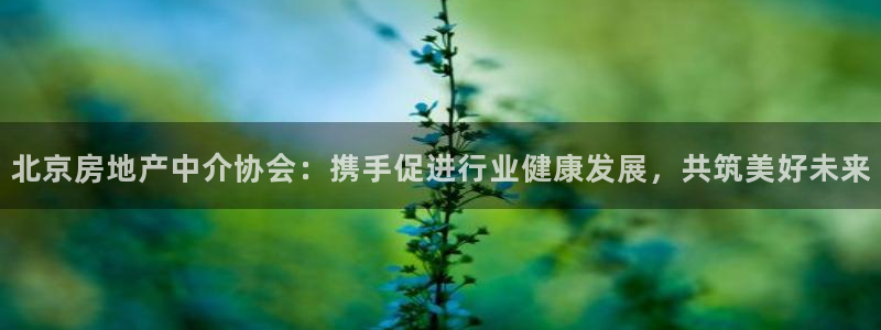 新宝娱乐5入口：北京房地产中介协会：携手促进行业健康发展，共