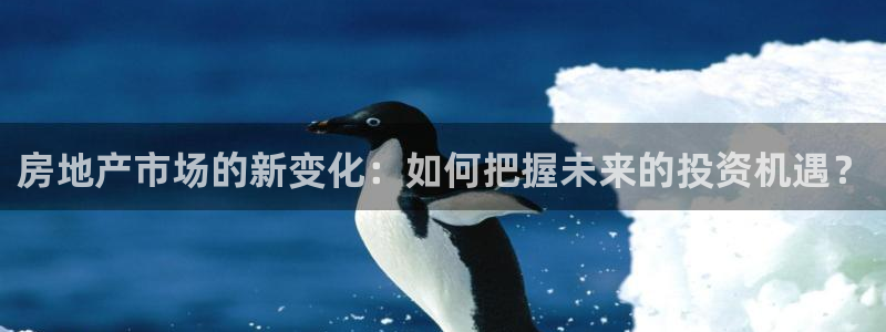 新宝6霸哥5：房地产市场的新变化：如何把握未来的投资机遇？