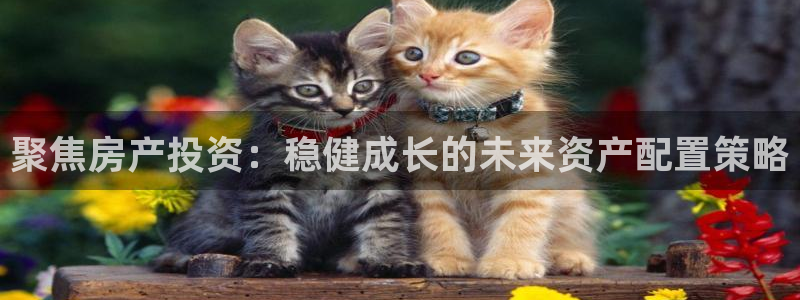 新宝5如何注册登录：聚焦房产投资：稳健成长的未来资产配置策略