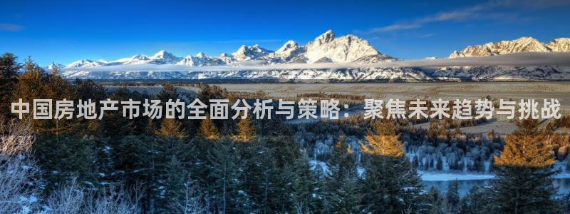 新宝5平台注册资金：中国房地产市场的全面分析与策略：聚焦未来