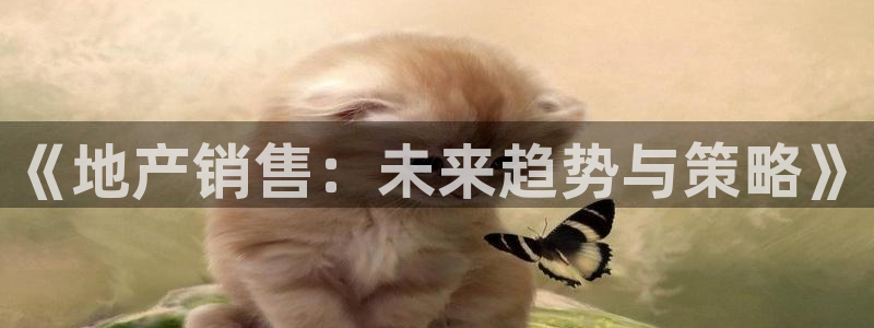 新宝5官方网站：《地产销售：未来趋势与策略》