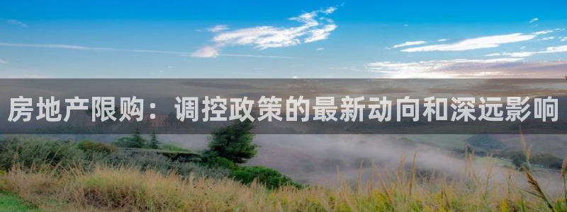 新宝新5：房地产限购：调控政策的最新动向和深远影响