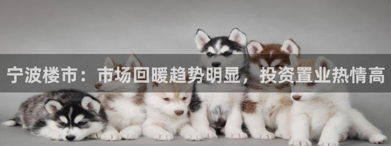 p5r新宝魔：宁波楼市：市场回暖趋势明显，投资置业热情高