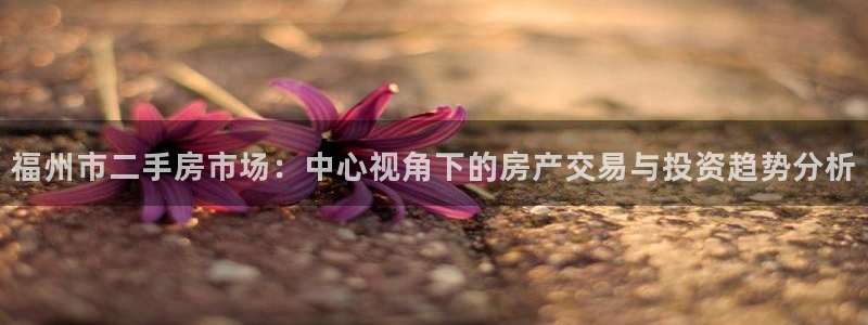 新宝5登录地址：福州市二手房市场：中心视角下的房产交易与投资