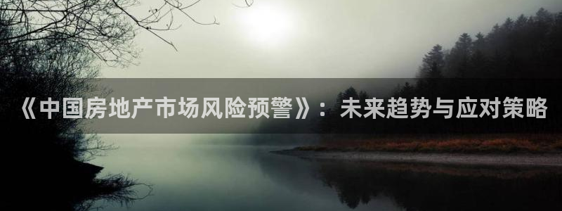 新宝5测登录：《中国房地产市场风险预警》：未来趋势与应对策略