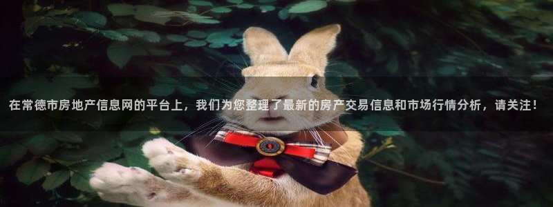 新宝5线路登录检测：在常德市房地产信息网的平台上，我们为您整