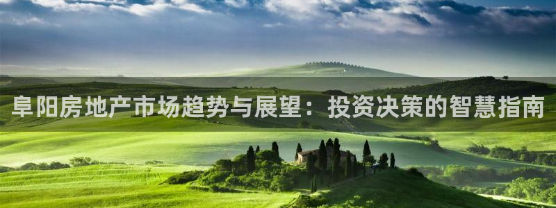 新宝5平台注册公司：阜阳房地产市场趋势与展望：投资决策的智慧