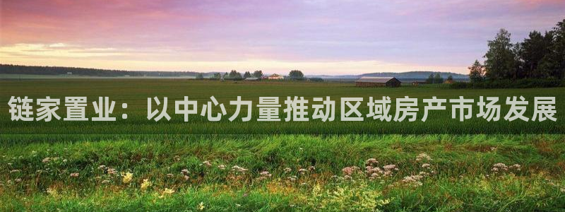 新宝5主管：链家置业：以中心力量推动区域房产市场发展