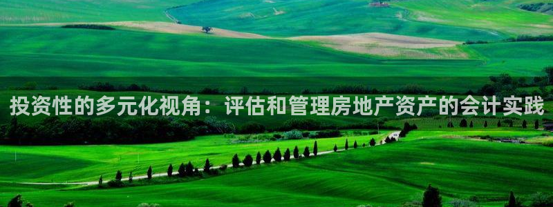 5新宝：投资性的多元化视角：评估和管理房地产资产的会计实践