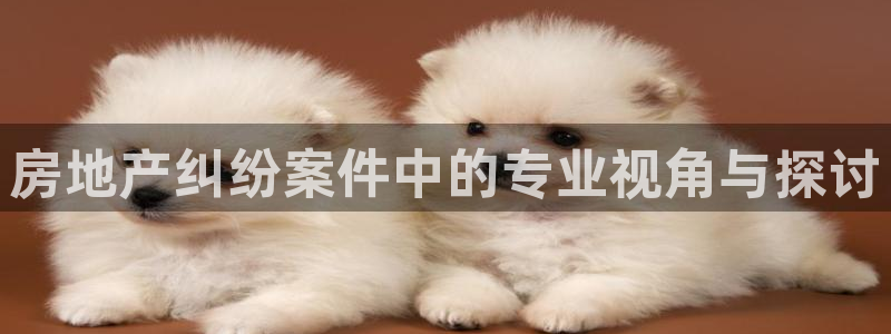 新宝5可靠吗：房地产纠纷案件中的专业视角与探讨