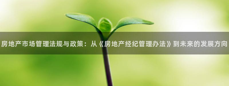 新宝5 - 测速登陆：房地产市场管理法规与政策：从《房地产经