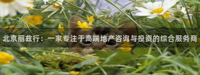 新宝5日：北京丽兹行：一家专注于高端地产咨询与投资的综合服务
