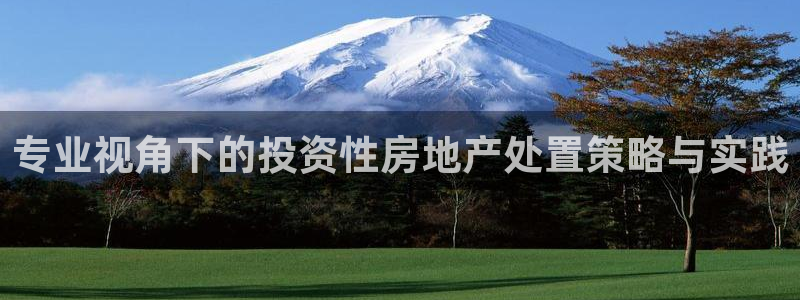 新宝5注册账号：专业视角下的投资性房地产处置策略与实践