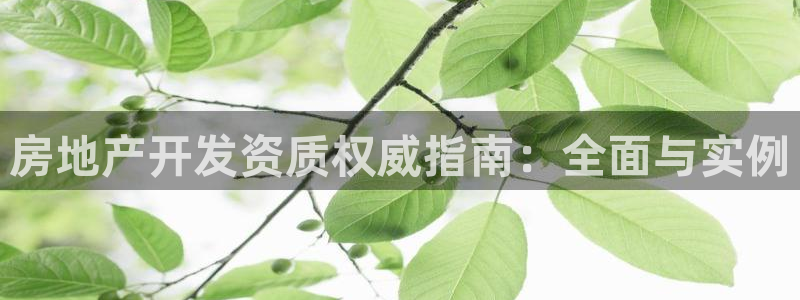 新宝h2O5O5O：房地产开发资质权威指南：全面与实例