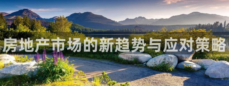 新宝5是什么样子的：房地产市场的新趋势与应对策略