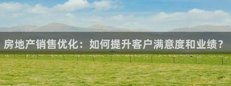 新宝娱乐5入口：房地产销售优化：如何提升客户满意度和业绩？